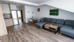 Apartmán Pivovarská 5 - 7 minutes from Schaeffler, Private Parking, Self Check-In, Business, Travellers